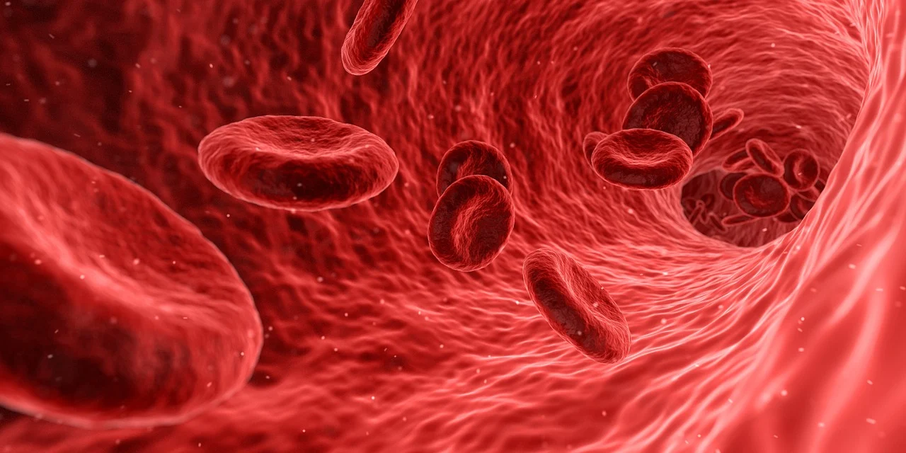 Acidosis and Alkalosis