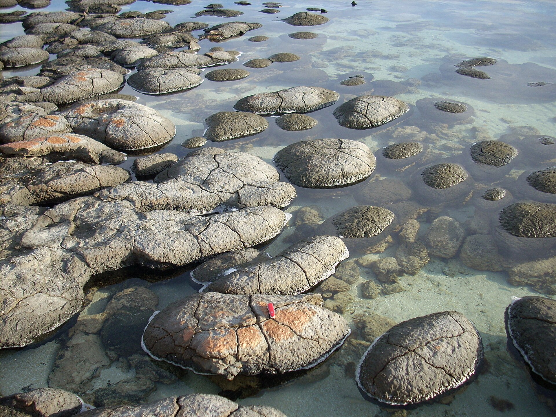 How Ancient Oceans Helped Earth Keep Its Oxygen